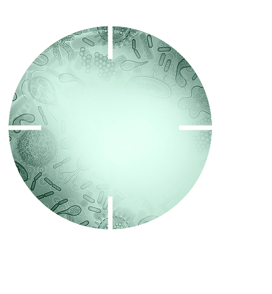 Перчатки AMG «Antimicrobial Gloves»